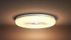 Потолочная светодиодная лампа Philips Struana Hue (White) купить в интернет-магазине icover