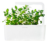 Комплект картриджей Click & Grow Кошачья мята 3 Pack купить в интернет-магазине icover