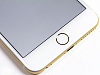Смартфон Apple iPhone 6S Plus 16 Gb Gold (с Демо-контентом)  купить в интернет-магазине icover