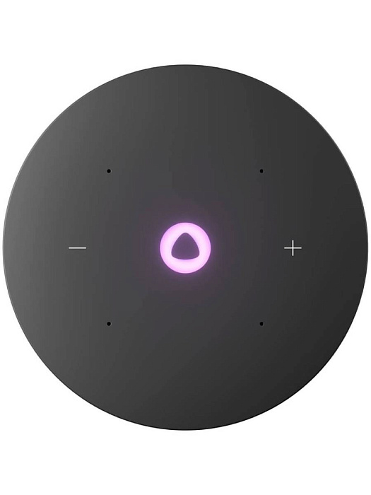 Умная колонка Яндекс Станция Мини 3 Про Zigbee YNDX00059BLK (Black) купить в интернет-магазине icover