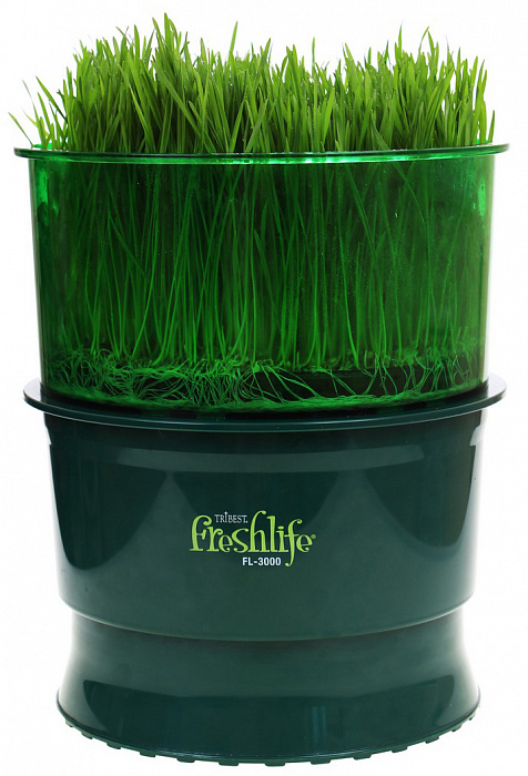 Tribest Freshlife FL-3000 - автоматический проращиватель (Green) купить в интернет-магазине icover