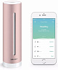 Домашняя метеостанция Netatmo Healthy Home Coach NHC-US для iOS/Android (Pink) купить в интернет-магазине icover