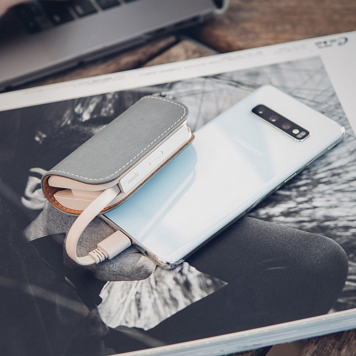 Внешний аккумулятор Moshi IonGo 5K (99MO022024) USB-A/Lightning (Fossil Gray) купить в интернет-магазине icover