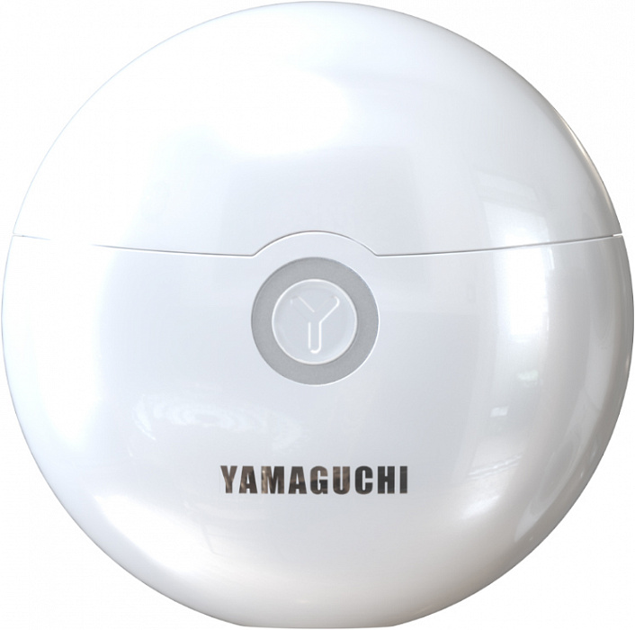 Прибор для подтяжки кожи лица и декольте Yamaguchi EMS Face Lifting (White) купить в интернет-магазине icover