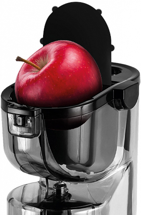 Соковыжималка Garlyn J-600 Max (Black) купить в интернет-магазине icover
