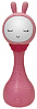 Интерактивная развивающая игрушка Alilo R1 YoYo (Pink) купить в интернет-магазине icover