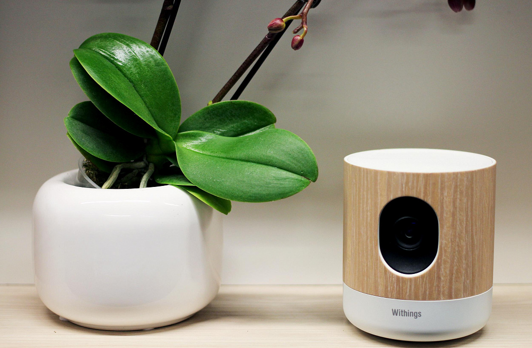 Умная камера Withings Home HD (70047703) с эко-датчиками (Wood) купить в интернет-магазине icover