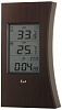 Термометр с часами Ea2 ED601 (Brown) купить в интернет-магазине icover