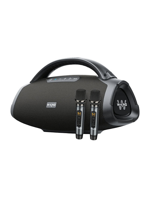 Колонка портативная W-KING D20 2Micro (Black) купить в интернет-магазине icover