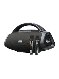 Колонка портативная W-KING D20 2Micro (Black) купить в интернет-магазине icover