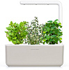 Умный сад Click & Grow Smart Garden 3 Чайный набор (Biege) купить в интернет-магазине icover