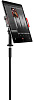Держатель IK Multimedia iKlip 3 Video (IP-IKLIP-3VIDEO-IN) для планшета до 12.9'' (Black) купить в интернет-магазине icover