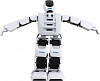 Робот Leju Aelos 1EDU 1CSC20003640 (White) купить в интернет-магазине icover