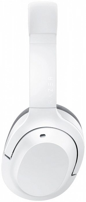 Беспроводные наушники Razer Opus X RZ04-03760200-R3M1 (Mercury) купить в интернет-магазине icover