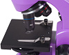 Levenhuk Rainbow 50L Plus - оптический микроскоп (Amethyst) купить в интернет-магазине icover
