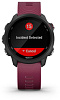 Умные часы Garmin Forerunner 245 GPS 010-02120-11 (Black/Berry) купить в интернет-магазине icover