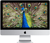Моноблок Apple iMac 21.5", Intel Core i5 3.4GHz, 16Gb, 1Tb Fusion Drive (Z0TL000G0) купить в интернет-магазине icover
