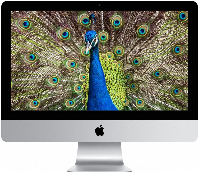 Моноблок Apple iMac 21.5", Intel Core i5 3.4GHz, 16Gb, 1Tb Fusion Drive (Z0TL000G0) купить в интернет-магазине icover