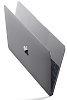 Ноутбук Apple Macbook 12 Retina, Intel Core M 1,1GHz, 8Gb, 256Gb SSD MJY32RU/A (Space Gray) купить в интернет-магазине icover