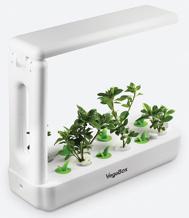 Настольная ферма VegeBox K-Box (White) купить в интернет-магазине icover