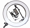 Кольцевая светодиодная лампа Circle LED Lamp с держателем 45 см (White) купить в интернет-магазине icover