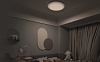 Потолочная лампа Yeelight Arwen Ceiling Light 450C (YLXD013-B) купить в интернет-магазине icover