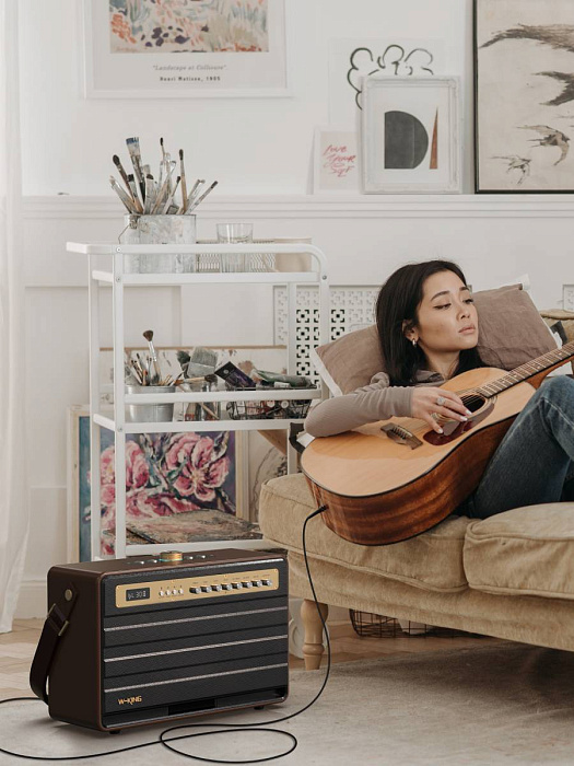 Караоке-система W-KING K6L (Black) купить в интернет-магазине icover