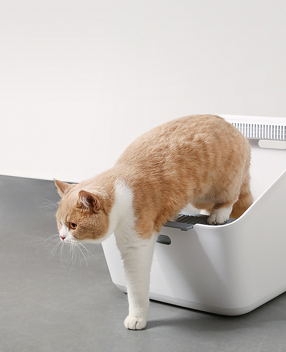 Лоток для кошек Petkit Pura Cat (White) купить в интернет-магазине icover