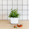 Умный сад Tregren T3 Kitchen Garden (White) купить в интернет-магазине icover