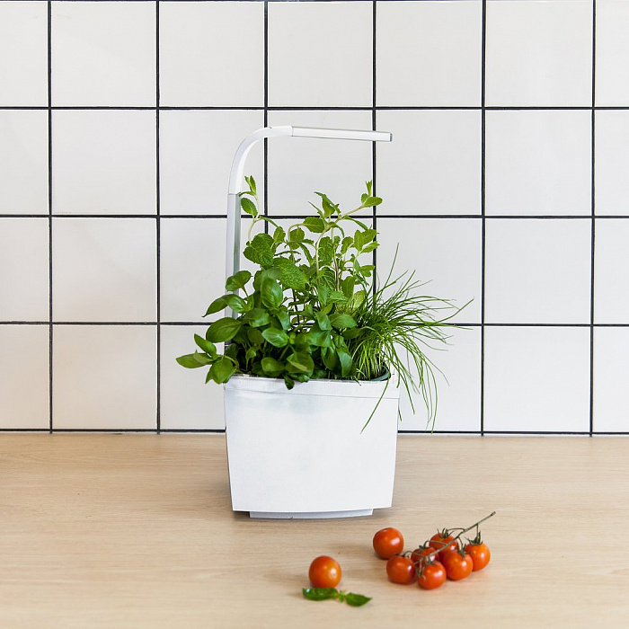 Умный сад Tregren T3 Kitchen Garden (White) купить в интернет-магазине icover
