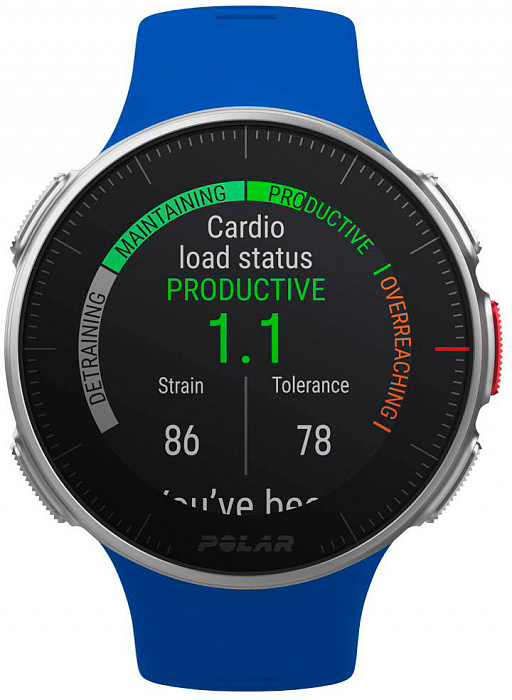 Спортивные часы Polar Vantage V M/L (Blue) купить в интернет-магазине icover