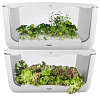 Домашняя ферма VegeBox H-BOX Level 2 (White) купить в интернет-магазине icover