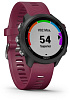 Умные часы Garmin Forerunner 245 GPS 010-02120-11 (Black/Berry) купить в интернет-магазине icover