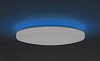 Потолочный светильник Yeelight LED Ceiling Light 650mm YLXD02YL (White) купить в интернет-магазине icover
