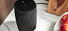 Беспроводная акустика Bowers & Wilkins Formation Flex (Black) купить в интернет-магазине icover
