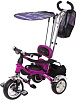 Capella Racer Trike Grand (GL000021182) - детский велосипед (Purple) купить в интернет-магазине icover