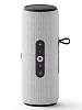 Портативная умная колонка Яндекс Станция Стрит с Алисой 30 Вт (Grey) купить в интернет-магазине icover