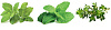 Умный сад Click & Grow Smart Garden 3 Чайный набор (Graphite) купить в интернет-магазине icover