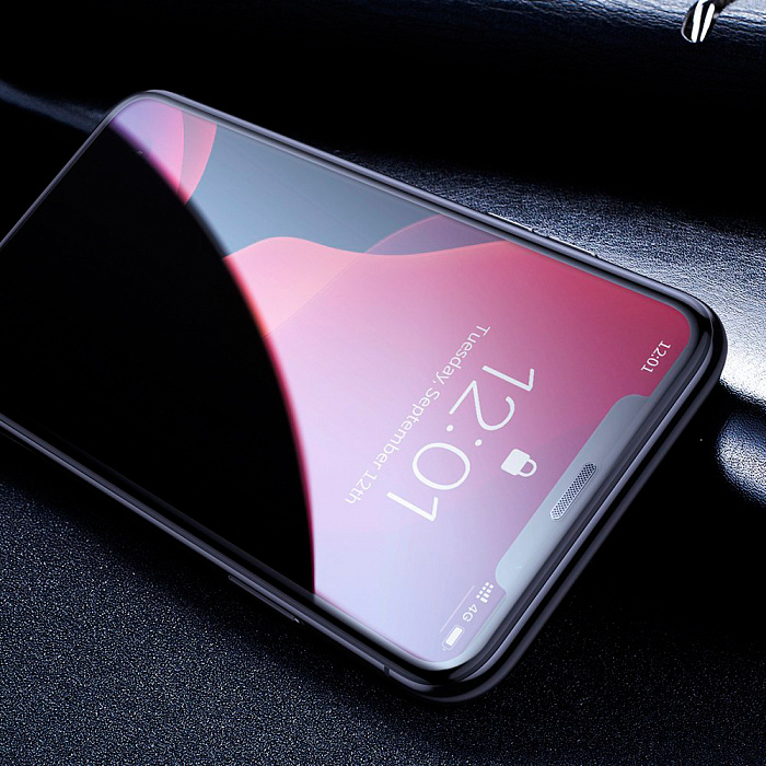 Защитное стекло Baseus Curved Privacy (SGAPIPH61S-WC01) для iPhone XR/11 (Black) купить в интернет-магазине icover