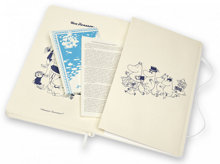 Блокнот Moleskine Moomin Limited Edition Large (LEMOOQP060CLT) в линейку (White/Green) купить в интернет-магазине icover