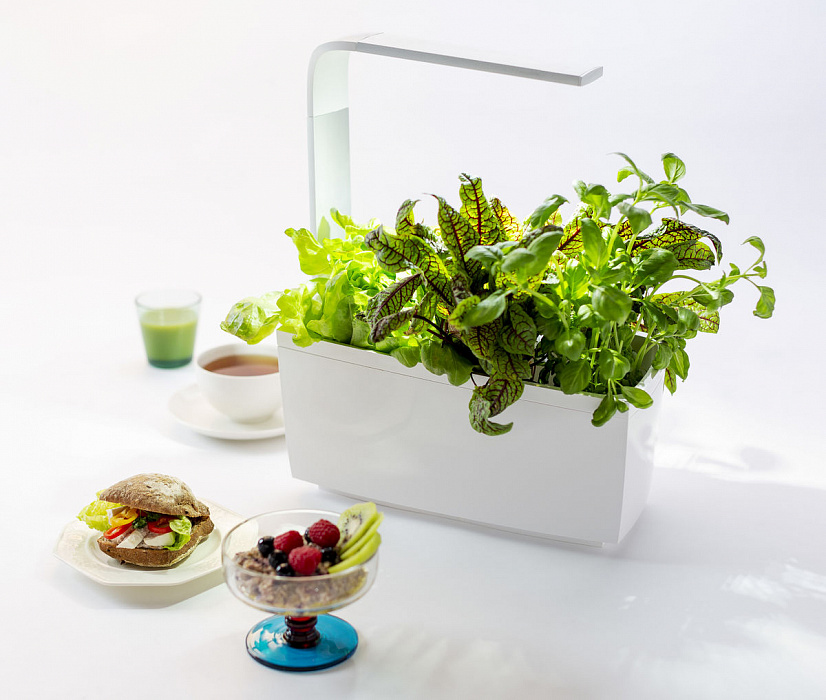 Умный сад Tregren T6 Kitchen Garden (White) купить в интернет-магазине icover