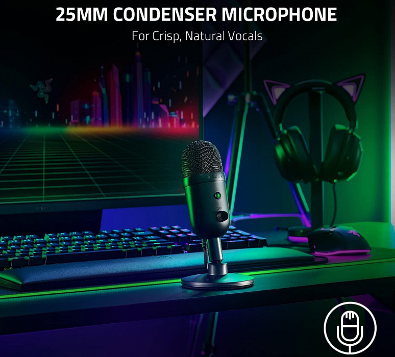 Микрофон Razer Seiren V2 X RZ19-04050100-R3M1 (Black) купить в интернет-магазине icover