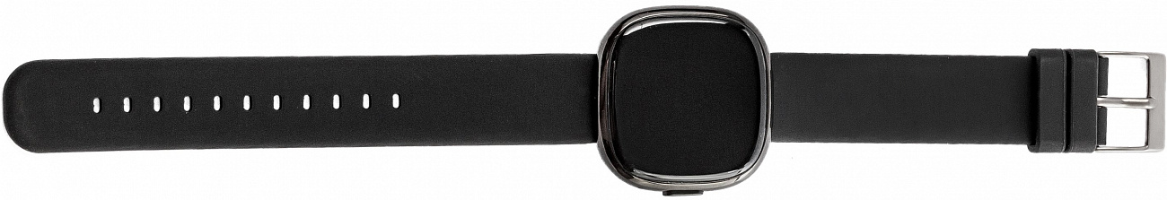 Умные часы Prolike PLSW2000 (Black) купить в интернет-магазине icover