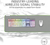 Беспроводная мышь Razer Atheris RZ01-02170300-R3M1 (Mercury White) купить в интернет-магазине icover