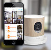 Withings Home - интеллектуальная камера с эко-датчиками купить в интернет-магазине icover