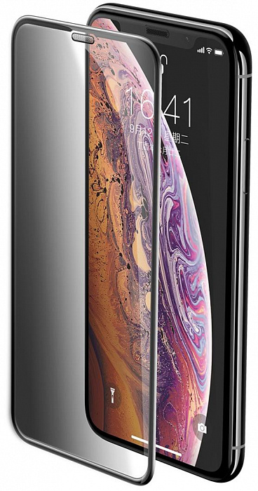 Защитное стекло Baseus Curved Privacy (SGAPIPH58-WC01) для iPhone X/Xs (Black) купить в интернет-магазине icover