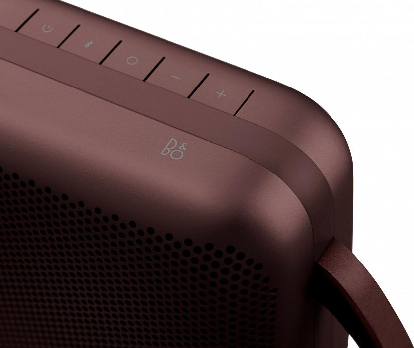 Портативная акустика Bang & Olufsen BeoPlay P6 (Chestnut) купить в интернет-магазине icover