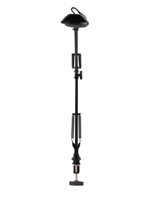 Настольная светодиодная лампа Ridberg LDL25-2 (Black) купить в интернет-магазине icover