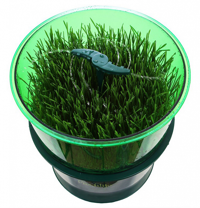 Tribest Freshlife FL-3000 - автоматический проращиватель (Green) купить в интернет-магазине icover