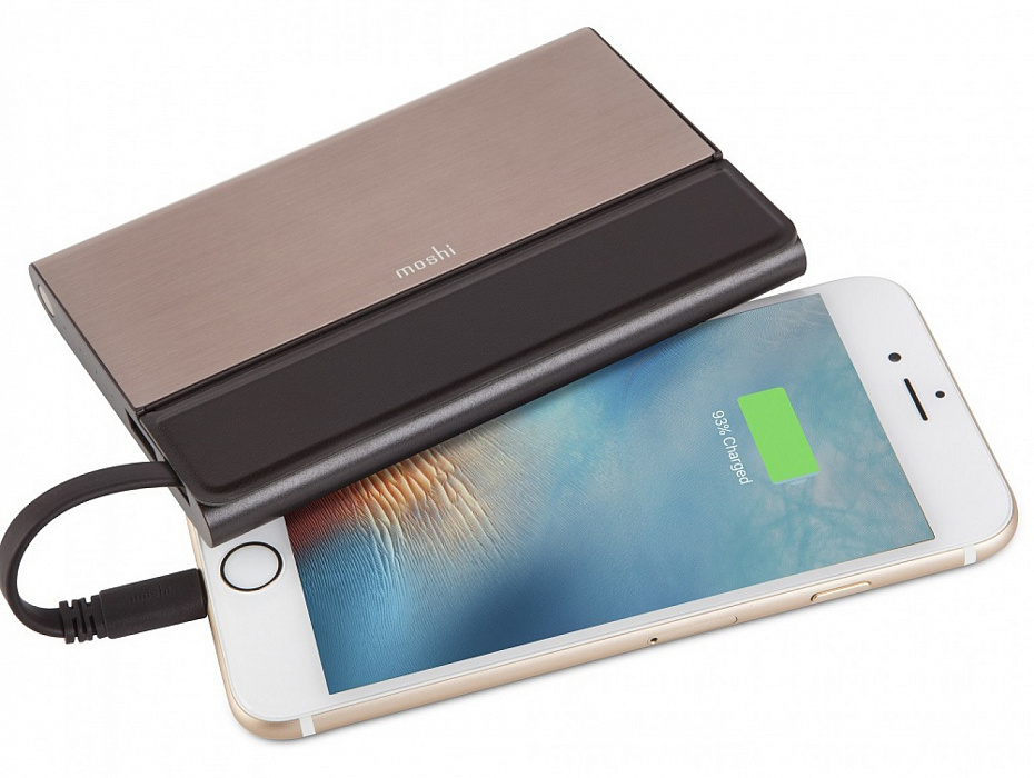 Портативный аккумулятор Moshi IonBank 5K 5150mAh 99MO022125 (Bronze) купить в интернет-магазине icover